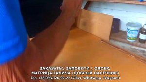 Как правильно заливать трутневую вощину Матрица от До