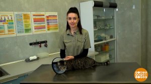 Не по коту воротник! Но надо. Доброе утро. Фрагмент выпуска от 09.09.2025
