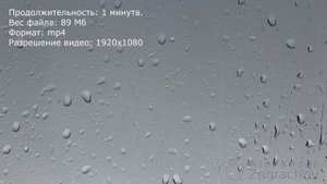 Капли дождя на стекле (купить видео)