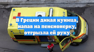 В Греции дикая куница, напав на пенсионерку, отгрызла ей руку