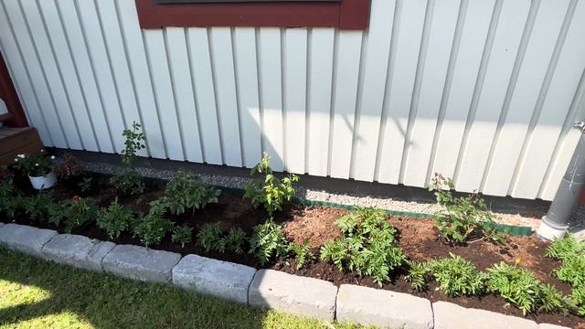 Как я оказалась в психиатрии… мои впечатления. Сад-ог? смотреть онлайн