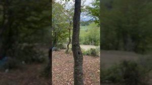 Кому понравился пишите в коментах #скинулокацию