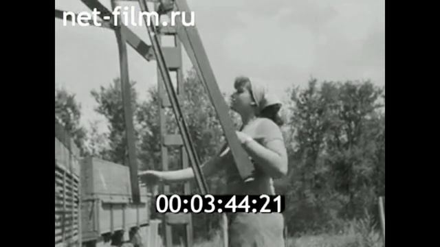 1980г. совхоз имени Ленина Беляевский район Оренбургска смотреть онлайн