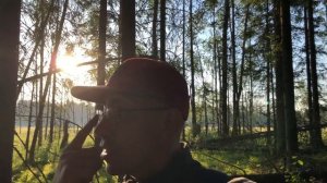 Испуганный лось на болоте во время сбора грибов!