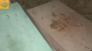 14 января 2025г. Зимовка пчел бакфаст в 6 рамочных ульях П?