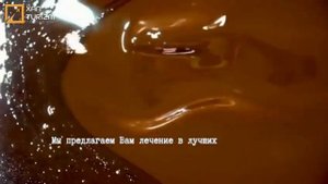 Бронирование санаториев Нафталана🏩#азербайджан #наф