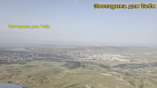 Никогда не держите эти растения дома — они тайно заби? смотреть онлайн