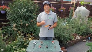 Как выбрать секатор? Обзор секаторов на все случаи жиз