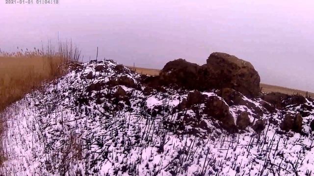 Трудовая охота по перу. Рисовые чеки Придунавья. 2021 смотреть онлайн