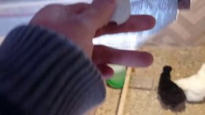 Как дёшево отопить курятник!