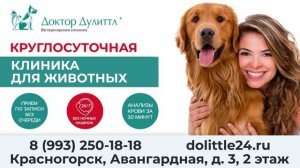 ТРАНСМЕДИА - клиент ветеринарная клиника "Доктор Дулиттл"