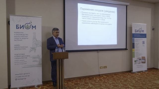 Бактериальный рак томата. Особенности возбудителя.Си?