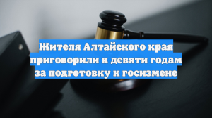 Жителя Алтайского края приговорили к девяти годам за подготовку к госизмене