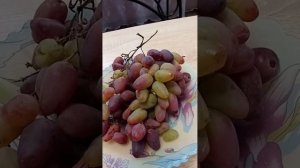 Наипростейший способ хранения свежего винограда зим?