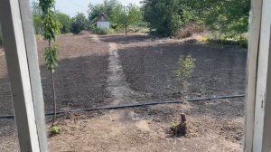 Защита и Удобрение Внесение Перед Посадкой