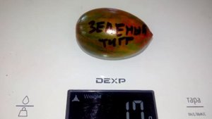 Томат Зеленый тигр