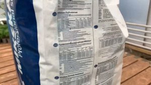 Посев семян томата на рассаду. Как легко и быстро сеят?