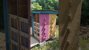 7 июня 2025г.Мёд, ПЧЕЛОПАВИЛЬОН, свежая клубника и водопа