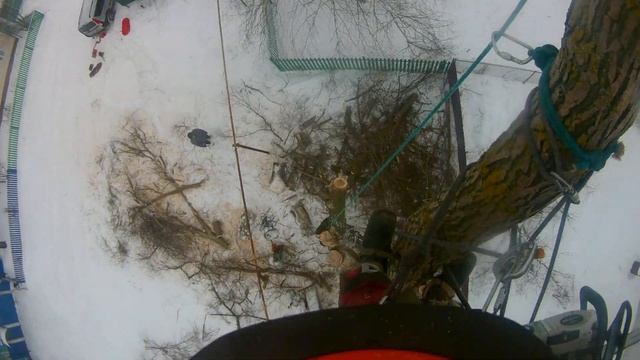 Как убрать ОПАСНОЕ дерево у газопровода, если автовыш? смотреть онлайн