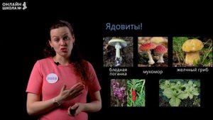 Видеоурок 23. На воде и в лесу. Окружающий мир 2 класс