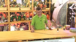 20191130 КОНСУЛЬТАНТ САДОВОДА