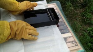 Кормушки для пчел