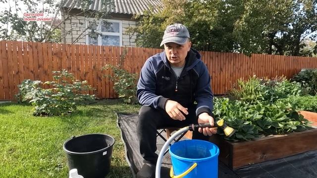 Осенняя посадка клубники: мой проверенный способ. Важ? смотреть онлайн