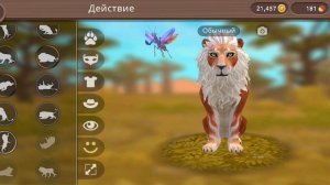 Фокус от Локи льва WildCraft🐾