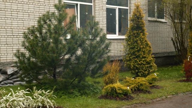 Ухоженный участок за 1 день? Ландшафтный дизайнер [быс? смотреть онлайн