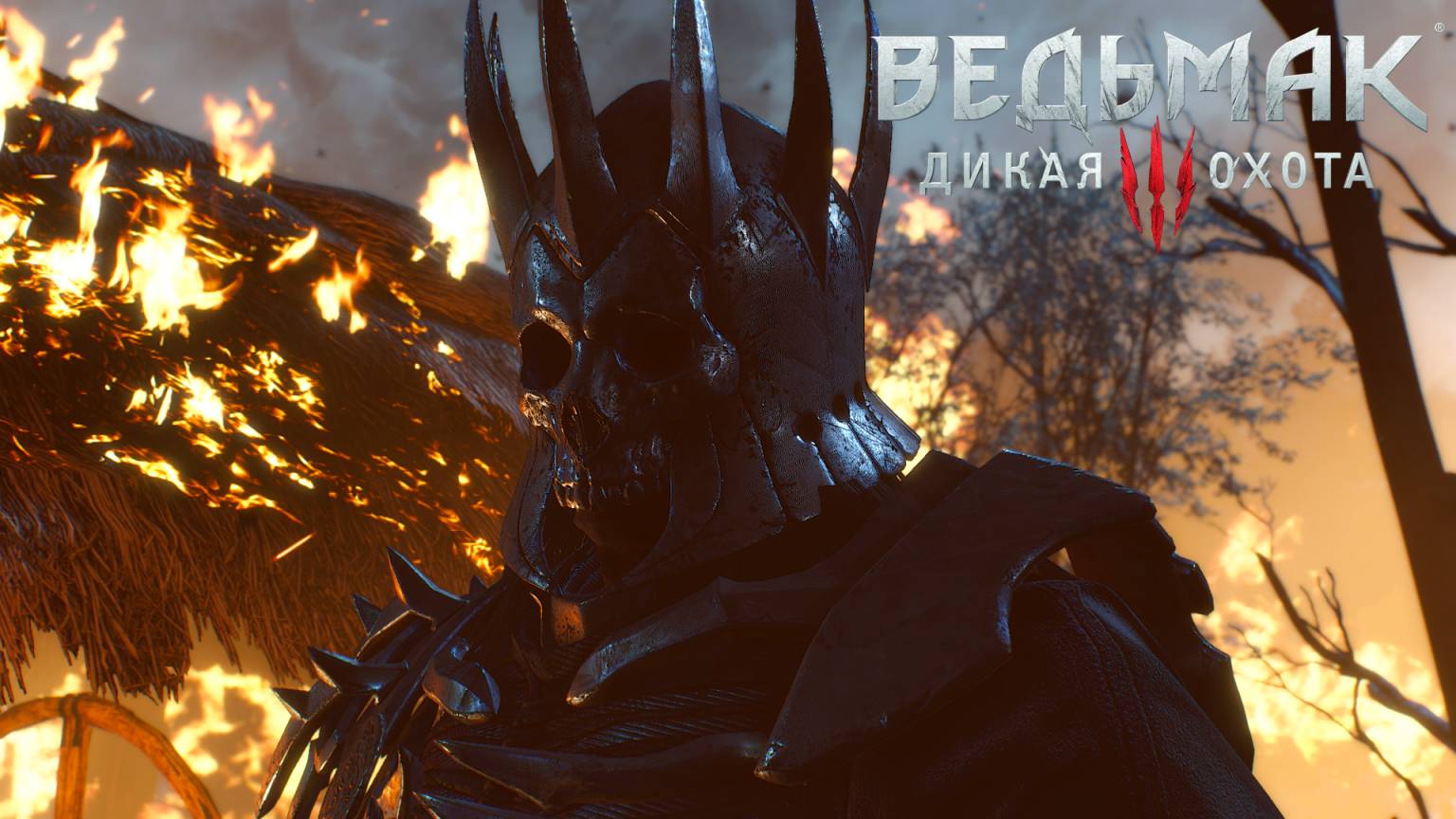 The Witcher 3 Wild Hunt САМ БАРОН # 5