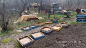 Пчеловодство весной: первые шаги после зимы! Ульи заве