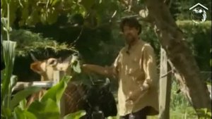 Введение в пермакультуру