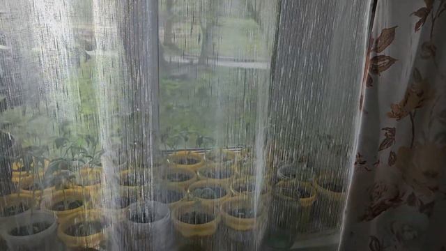 Домашний влог | Делюсь позитивом смотреть онлайн