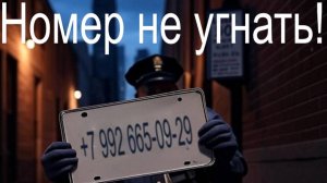 Госуслуги защитят от мошенников — новый закон связи