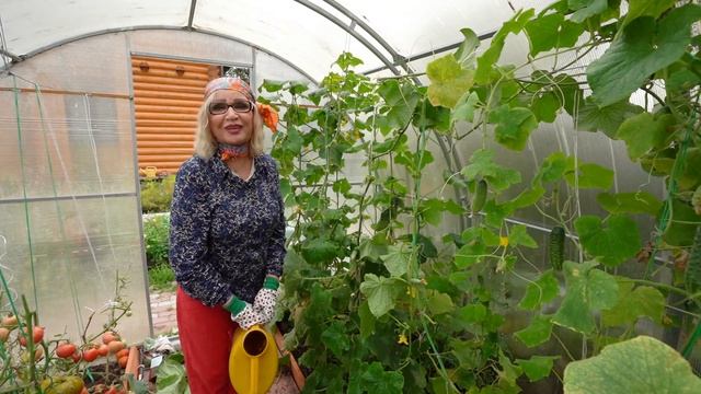 ГАНИЧКИНА LIFE ГОРТЕНЗИЯ, ОГУРЦЫ,СЕКРЕТНЫЙ САЛАТ! смотреть онлайн