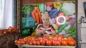 Томат Мятежный звездный истребитель ведущий (Rebel Starfight