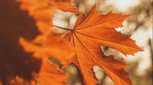 Добра и хорошего настроения #настроение #добрыйдень #день #красиваявидеооткрытка