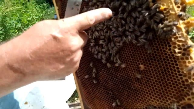 Как вам такое? смотреть онлайн