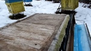 Пчелы. 28 декабря 2024 года. Утепление ульев зимой на моей