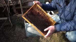 Как извлечь старый мёд из рамки?