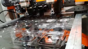 Производство одноразовых пластиковых контейнеров