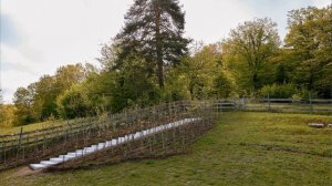 сад на самотек