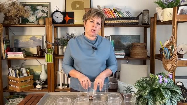 СОСТАВЛЯЕМ ПОЧВОСМЕСЬ ДЛЯ ДОМАШНИХ ЦВЕТОВ! смотреть онлайн