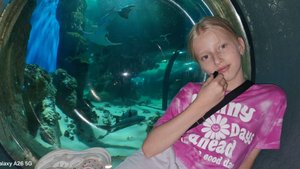 Мы в Москвариуме