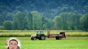 Технология Производства Сена Люцерны: Полное Руковод?