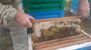 Норвежский метод зимовки пчел 2021.