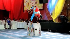 ГРАНД КАЗИНО. НГ Триер/Ирекс