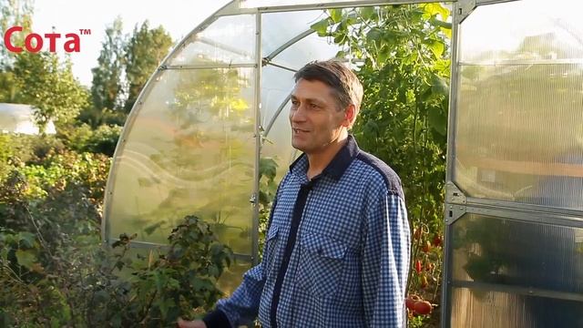 Видео отзыв о теплице Сота смотреть онлайн