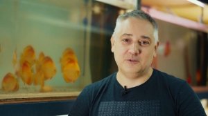 Дискусы Москва   Сергей Шилов   Питомник Дискус1 Развед