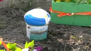 Садоогород 2008 1ф